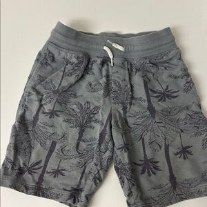 Wonder Nation Gray Casual Shorts